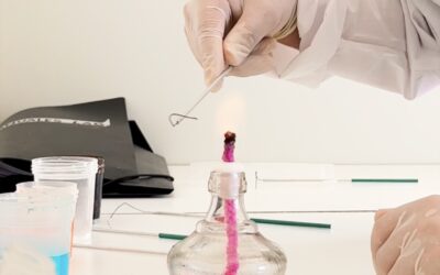 Implementación del Laboratorio de Ciencias en Espacio Educativo Caití
